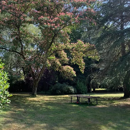 Hébergement de vacances Demeure Avec Piscine Et Tennis Saint-Sozy